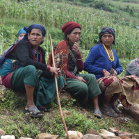 दुई वर्षमा सक्नुपर्ने पुल छ वर्षदेखि अलपत्र, तीन पटक म्याद थप