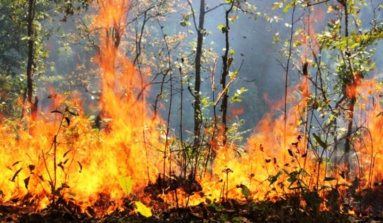 भुजीखोला बाढीका पाँच वर्ष बनाउन सकेनन् पीडितले आवास