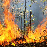 ‘जनताका मुद्दा संसद्मा उठाउने छु’