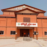 वैदेशिक रोजगारीमा गएका एकसय ७७ को मृत्यु