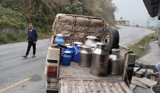 दैनिक १२ सय लिटर दुध संकलन तथा बिक्री