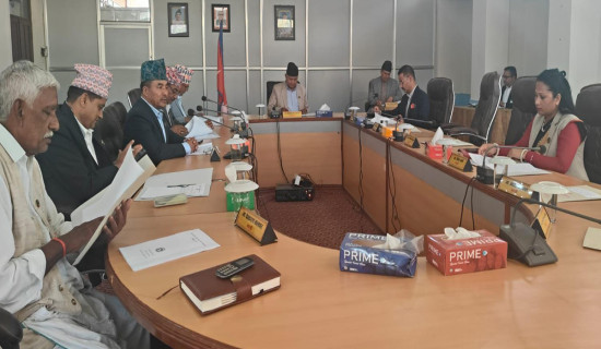 केरा खेतीको बिमा नहुँदा किसान मारमा