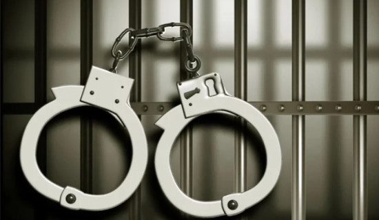 बालिकालाई बलात्कार गरेको आरोपमा पक्राउ