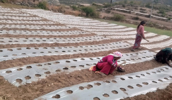 वेल्जियमको लिग खेल्दै सन्दीप लामिछाने