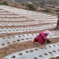 सगरमाथा आरोहण गर्न नयाँ बाटो