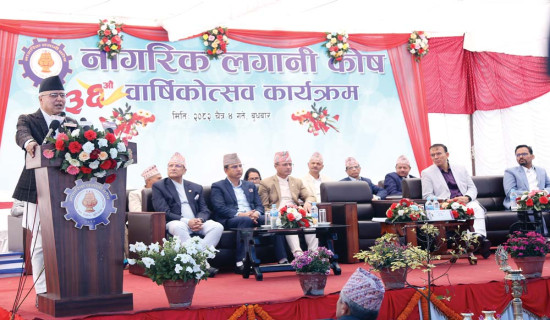 संस्थागत लगानी दीर्घकालीन परियोजनामा : अर्थमन्त्री खनाल