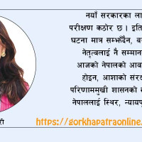 निर्वाचनको नतिजा राष्ट्रपतिलाई बुझाइँदै