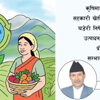 ‘व्यापारिक सहर बनाइने छ’