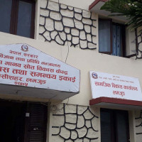 रत्नेचौरमा फूलेको सूर्यमुखीले पर्यटक आकर्षित