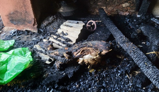 भारत सरकारको सहयोगमा दुई विद्यालय बने