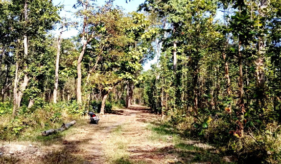 बाँकेमा  ‘आगो नियन्त्रण दस्ता’ निर्माण