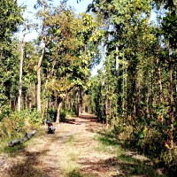 दार्चुलामा उकु महलको उत्खननसँगै अनुसन्धान सुरु