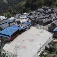 चिकित्सक सङ्घको कार्यकाल थप गर्ने निर्णयप्रति परिषद् सदस्यको फरक मत