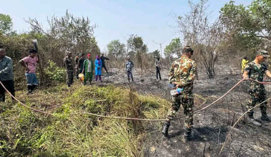 सामुदायिक वनमा आगलागी हुँदा २ हेक्टरमा लगाइएको बिरुवा नष्ट