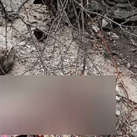 पर्वले सांस्कृतिक पहिचान स्थापित गरेको छः मुख्यमन्त्री