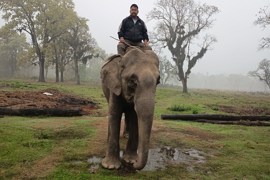 करारमै थलिएका हात्ती सुसारे : जोखिमपूर्ण काम, भविष्य अनिश्चित