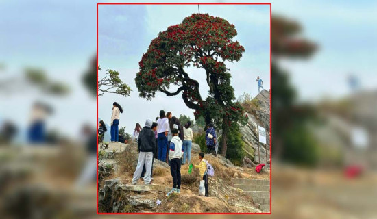 चर्चामा रायराँयकोट, लोभ्याउदै आन्तरिक पर्यटक