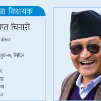 गीतले पनि चल्छन् चलचित्र