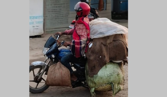 ताप्लेजुङ गोल्डकप भदौ ३ देखि