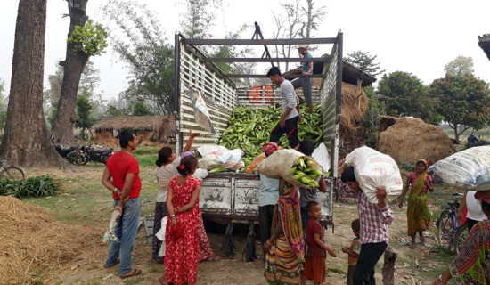 रौतहटमा किसानको पहिलो प्राथमिकता मकै खेती
