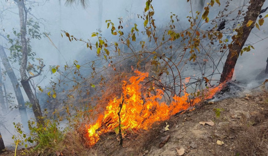 चुस्त आपूर्ति व्यवस्था