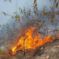 पर्यटन प्रवर्धनका लागि ऐननियम आवश्यक