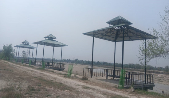 जेनजी आन्दोलनका घाइतेको यही चैत २० गते अन्तिम वर्गीकरण गरिने