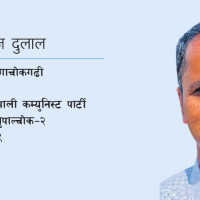 पराजुलीको ड्रिमि आइज विमोचन