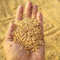 स्वास्थ्य बिमाबापत  एक लाख बराबरको उपचार सेवा यथावत्