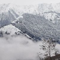 बन्ने भयो हिंसापीडित राख्ने भवन