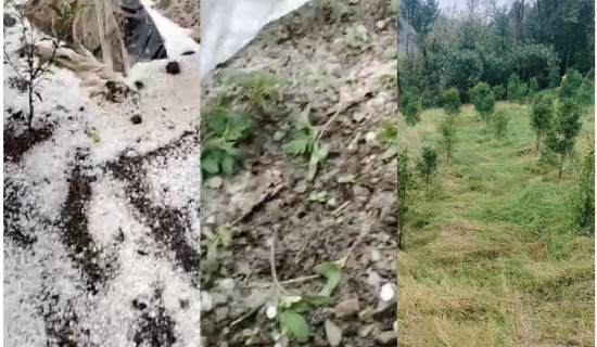 खड्ग जात्रा चलाउन गाह्रो हुँदै