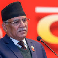 लहानका २४ वटै वडामा निःशुल्क क्यान्सर शिविर