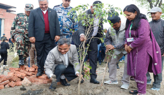 मधेशमा हावाहुरीसहित वर्षा