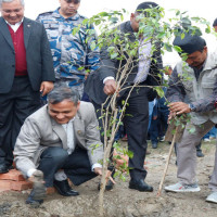 टी–२० विश्वकप : इङ्ल्यान्डसँग हार्‍यो न्युजिल्यान्ड