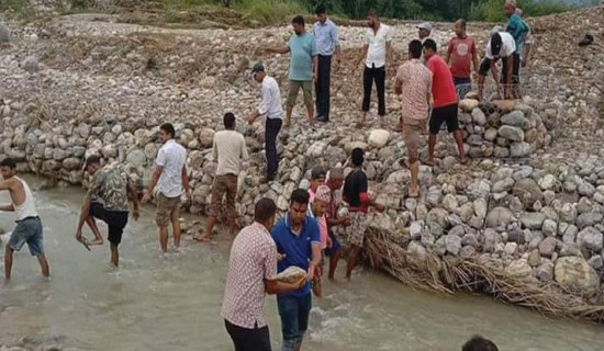 बाँध बनाउन ढुङ्गा बोक्दै जनप्रतिनिधि