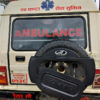 अर्थतन्त्रमा वनजन्य स्रोतको भूमिका