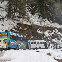 मासु खाँदा के कुरामा ध्यान दिनुपर्छ ?