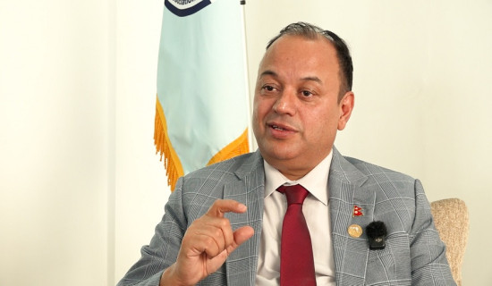 एनआरएनएमा पैसा, शक्ति र राजनीति हाबी हुनुहुँदैन : डा. हेमराज शर्मा