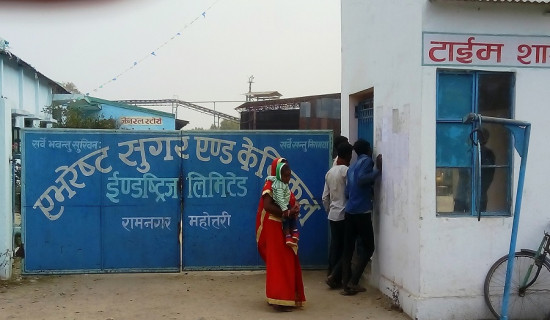 कैलाश घुमेर दसौँ दिनमा घर