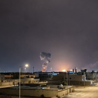 दश दिनको फरकमा चार गैँडा मृत फेला