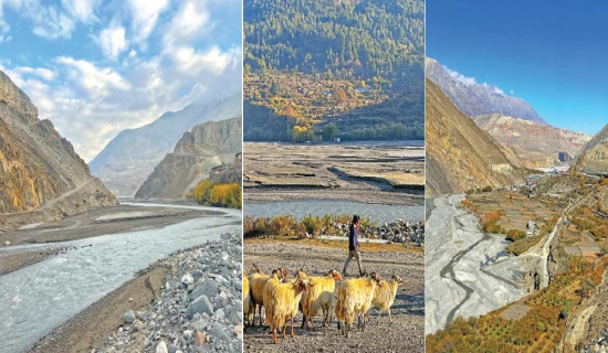 खुल्यो कित्ताकाट