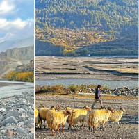 नगरपालिकाको फाँटमा नगरप्रमुखबाटै तालाबन्दी