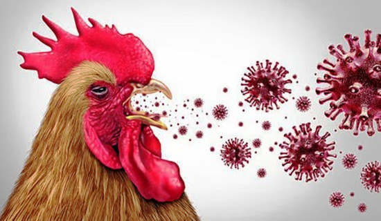 संयमित र आत्मबलयुक्त निजी क्षेत्र