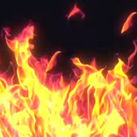 इक्वेडर प्रहरीद्वारा ३.५ टन कोकिन बरामद