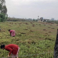 जनताद्वारा अभिव्यक्त राष्ट्र निर्माणको दायित्व पूरा गर्न राष्ट्रपतिको आह्वान
