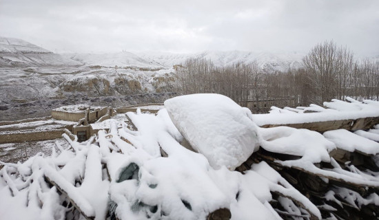 रामपुर नगरपालिकामा एक सय ३२ विद्यार्थीलाई ‘मेयर छात्रवृत्ति’