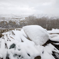 छोरी जन्मिएपछि अस्पतालमै छाडेर फरार भइन् आमा