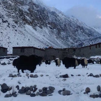 इरानद्वारा संयुक्त अरब इमिरेट्सलाई आफ्नो क्षेत्रबाट इरान विरुद्व आक्रमण गर्न नदिन चेतावनी