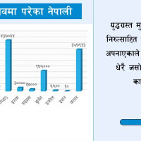 मुसीकोटमा रेबिज आतङ्क