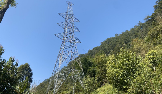 सरकारले बनाउने नीति तथा कार्यक्रममा ग्रिन अर्थतन्त्रलाई प्राथमिकता दिनुपर्ने